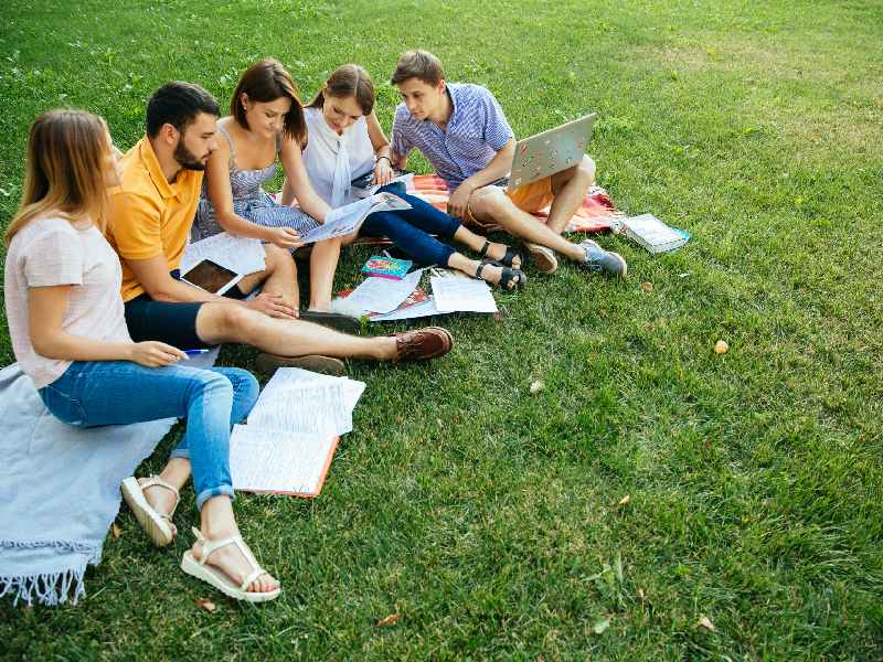 Expansive Green Lawn